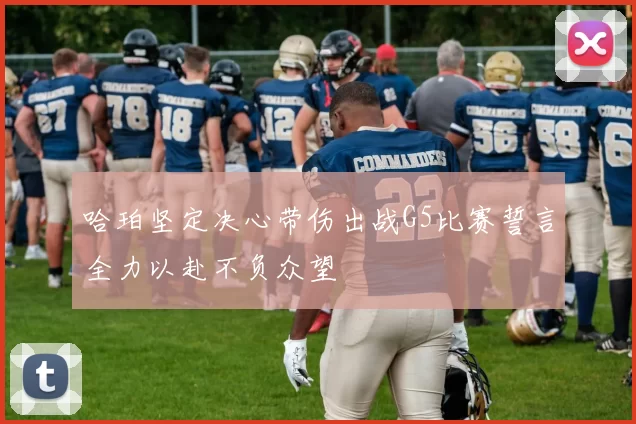 哈珀坚定决心带伤出战G5比赛誓言全力以赴不负众望