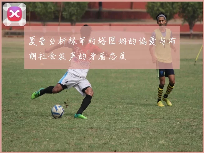 夏普分析绿军对塔图姆的偏爱与布朗社会发声的矛盾态度